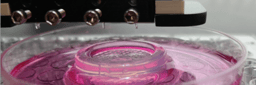 3D Bioprinting for Reconstituting the Cancer Microenvironment                         
