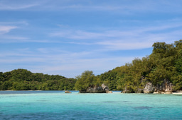 Protected areas for inclusive conservation and prosperity: a vision for the IUCN-WCPA
