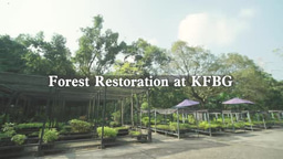 Ecological Restoration in Hong Kong