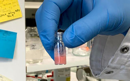 Targeting cell plasticity in cancer and beyond