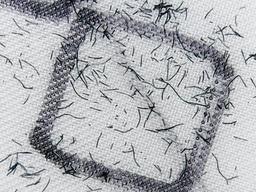 Plugs over filters: stopping microplastic fibre release at its source