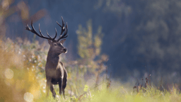 We're hiring a Data & Research Officer!