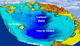 Viruses shape prokaryotic metabolic activities in oxygen-deficient water columns