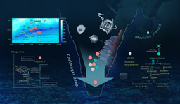 Microbes  contribute to nitrogen and arsenic cycling even in sediments of the deepest ocean trench on Earth (Mariana Trench)
