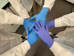 How passing on projects across PhD generations benefits science