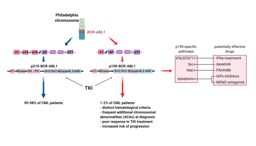p190-BCR-ABL Isoform in CML: A Minor breakpoint and A Major Impact