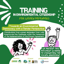 Towards an environmental democracy with a gender perspective: women defenders and the Escazú Agreement