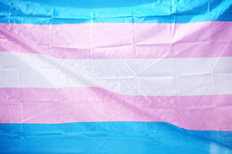 Transgender Day of Visibility: Faculty Spotlight