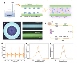 A new optical nonlinear media comes up---optical fibres with embedded two-dimensional materials