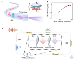 Giving Optical Fibres a Nonlinear Boost with van der Waals Crystals