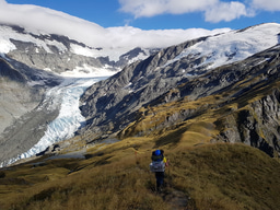 A close look into the microbiome of glacier-fed streams