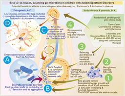 Leveraging the Gut microbiome to manage from neurodevelopmental to neurodegenerative illnesses
