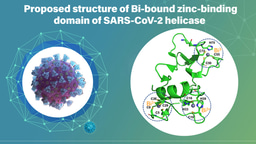 Metallodrugs pave new ways to contain COVID-19