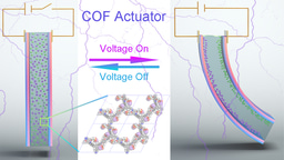 Ionic Covalent Organic Framework based Electrolyte for Fast-Response Ultra-Low Voltage Electrochemical Actuators