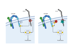 Activating JAK-mutations confer resistance to FLT3 kinase inhibitors in FLT3-ITD positive AML in vitro and in vivo