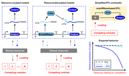 Freeing genetic circuits from the messy cellular context