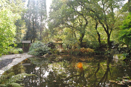 Networking, Volunteering and LinkedIn