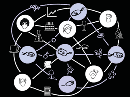Horizontal knowledge transfer in scientists and bacteria
