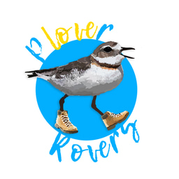 Remote Volunteering Opportunity