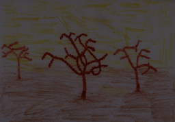 Acrasis kona: light version of aggregative multicellularity