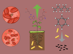 A bacterial epoxide hydrolase might broaden the host range of bacteria through oxylipin signalling hijack