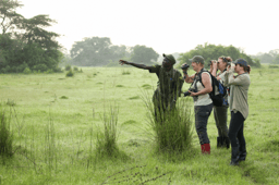 Job Opportunity: Fundraising Developer