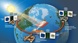 Microstructural degradation during the storage of biomass pellets 