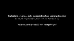 Inclusion growth process in biomass pellets