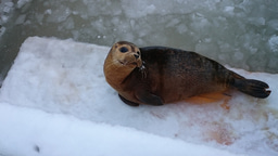 Is it all coming together? 