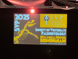 Highlights from the 2025 Society of Vertebrate Paleontology Annual Meeting
