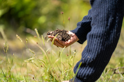 World Soil Day 2024: BMC Series research digs deep into why soil matters