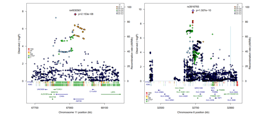 Genetic risk factors for acute myeloid leukemia