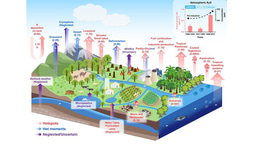 Nitrous oxide sources, mechanisms and mitigation