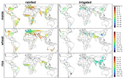 Combining crop modeling and machine learning to help identify opportunities for yield intensification 