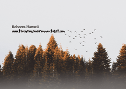 The Power Of Conservation, Community, Communication & Mental Health Awareness. 