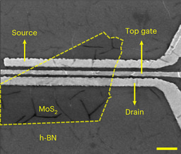 Two-dimensional materials based transistors using hexagonal boron nitride dielectrics and metal gate electrodes with a high cohesive energy 
