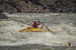 LIA Summer Experience Poster