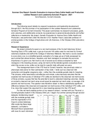 Summer One Report: Research Experience and Leadership Development