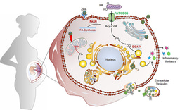 Secrets of a Winning Virus