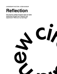 Leadership in Action: Reflection