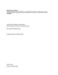 What The Law Owes: An Examination of Legal Defences Available for Victims of Domestic Abuse Violence