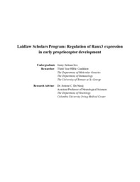 Laidlaw Summer I Report: Regulation of Runx3 expression in early proprioceptor development