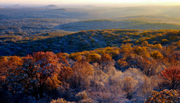 Space can change what we think we know about coexistence