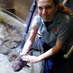 Hello, Kimberly, Aka Ama Bat Yam, back in town. 