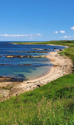 Networking Necessities 