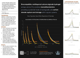 2021 Undergraduate Research Symposium Poster