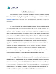 Aly Sayani - Summer 2 Reflection