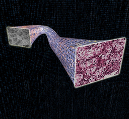 Deep learning-based virtual histology staining of unlabelled tissue