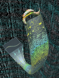 A virtual journey within a fluorescent sample: 3D digital refocusing of fluorescence images using deep learning