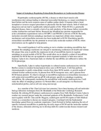 Preliminary Research Proposal